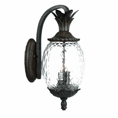 Acclaim Lanai 3-Light Outdoor Wall Light - Black Coral - 7512BC Acclaim Lanai 3-Light Outdoor Wall Light - Black Coral - 7512BC