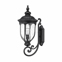 Acclaim Laurens 1-Light Outdoor Wall Light - Matte Black - 2211BK