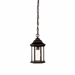 Acclaim Madison 1-Light Outdoor Hanging Lantern - Matte Black - 5185BK/SD