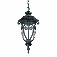 Acclaim Naples 1-Light Outdoor Hanging Lantern - Matte Black - 2116BK