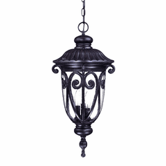 Acclaim Naples 3-Light Outdoor Hanging Lantern - Marbleized Mahogany - 2126MM