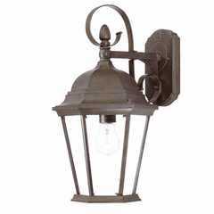 Acclaim New Orleans 1-Light Outdoor Wall Light - Burled Walnut - 5412BW