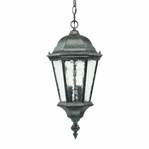 Acclaim Telfair 2-Light Outdoor Hanging Lantern - Black Coral - 5516BC