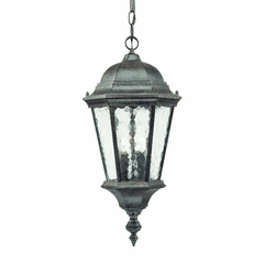 Acclaim Telfair 2-Light Outdoor Hanging Lantern - Black Coral - 5516BC