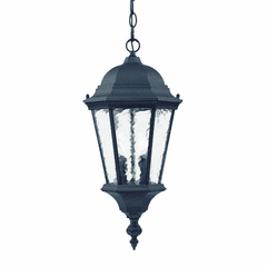 Acclaim Telfair 2-Light Outdoor Hanging Lantern - Matte Black - 5516BK Acclaim Telfair 2-Light Outdoor Hanging Lantern - Matte Black - 5516BK