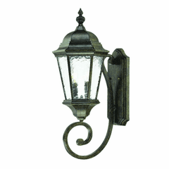Acclaim Telfair 2-Light Outdoor Wall Light - Black Coral - 5511BC