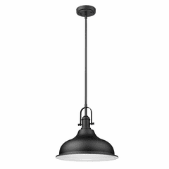 Acclaim Virginia 1-Light Pendant - Matte Black - IN21148BK