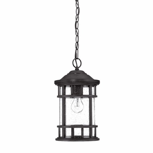 Acclaim Vista II 1-Light Outdoor Hanging Lantern - Black Coral - 31946BC