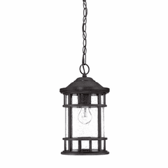 Acclaim Vista II 1-Light Outdoor Hanging Lantern - Black Coral - 31946BC