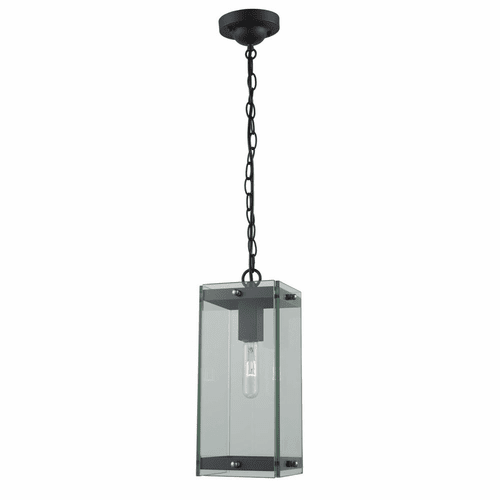 Artcraft Bradgate Outdoor Pendant - Matte Black & Harvest Brass - AC8135BK