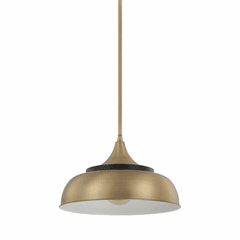 Capital Lighting Max 1-Light Pendant - 325713BX