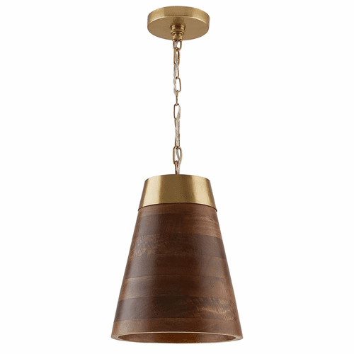 Capital Lighting Dodd 1-Light Pendant - 330314WR