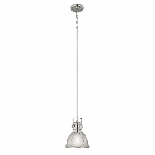 Capital Lighting Dargan 1-Light Pendant - 4431PN