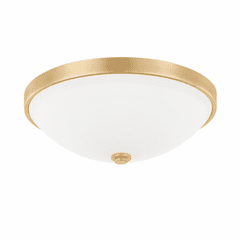 Capital Lighting Perkins 2-Light Flush Mount - 2323CG-SW Capital Lighting Perkins 2-Light Flush Mount - 2323CG-SW