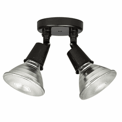 Capital Lighting 2-Light Outdoor Floodlight - 9502RZ
