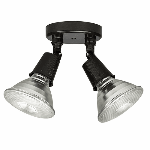 Capital Lighting 2-Light Outdoor Floodlight - 9502RZ