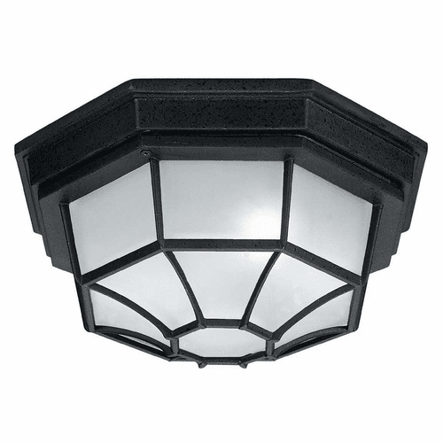 Capital Lighting 2-Light Outdoor Flush Mount - 9800BK