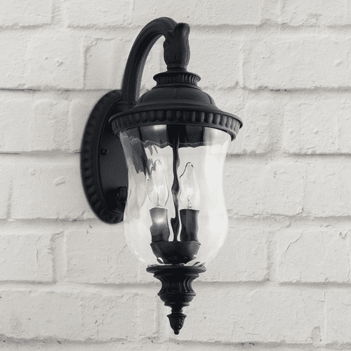 Capital Lighting Ashford 2-Light Outdoor Wall-Lantern - 939822BK