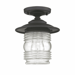 Capital Lighting Creekside 1-Light Outdoor Flush Mount - 9677BK