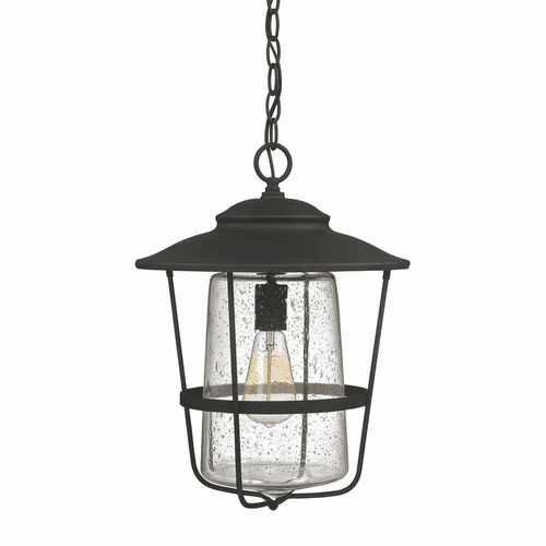Capital Lighting Creekside 1-Light Outdoor Hanging-Lantern - 9604BK