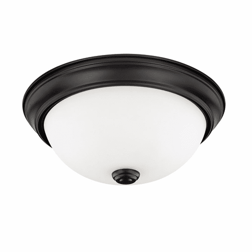 HomePlace Lighting Bates 2-Light Flush Mount - 214721MB