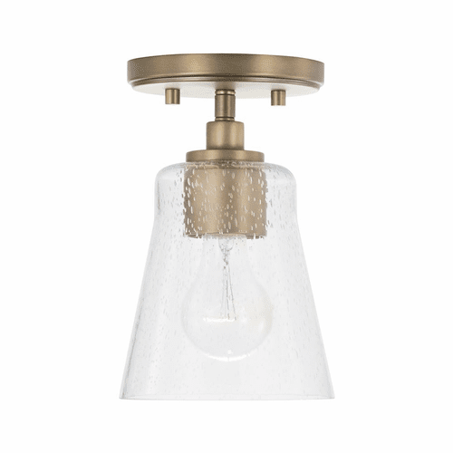 HomePlace Lighting Baker 1-Light Pendant - 346911AD-533