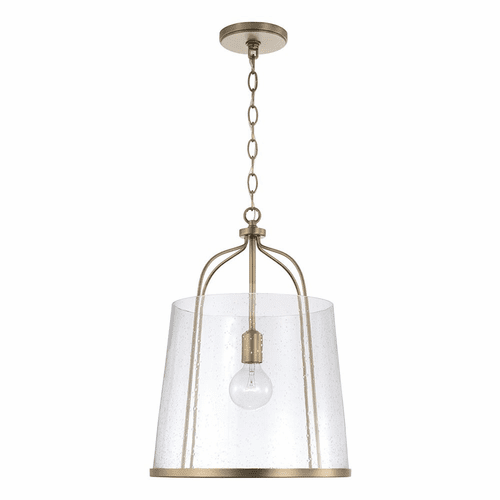 HomePlace Lighting Madison 1-Light Pendant - 347011AD