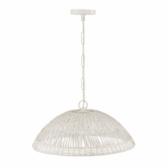 Capital Lighting Naomi 1-Light Pendant - 347511HH