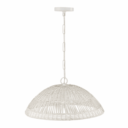 Capital Lighting Naomi 1-Light Pendant - 347511HH