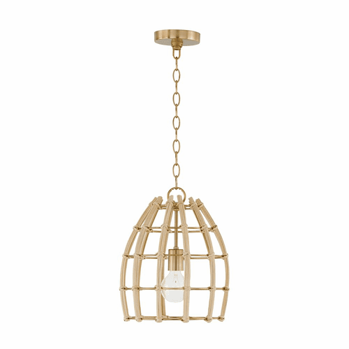 Capital Lighting Wren 1-Light Pendant - 344111MA
