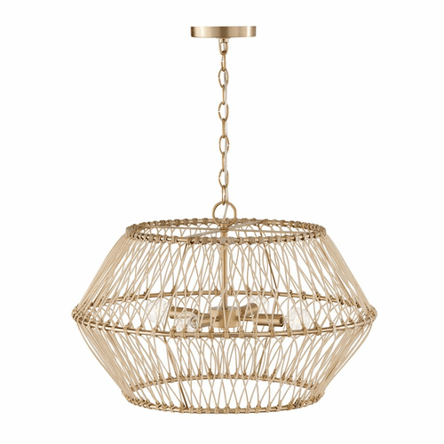 Capital Lighting Wren 4-Light Pendant - 344142MA
