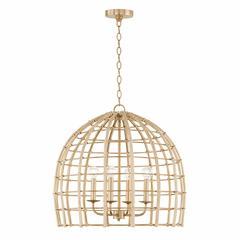 Capital Lighting Wren 4-Light Pendant - 344141MA
