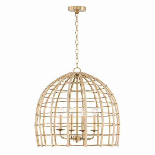 Capital Lighting Wren 4-Light Pendant - 344141MA