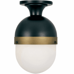 Crystorama Capsule 1 Light Outdoor Ceiling Mount - Matte Black - CAP-8500-MK-TG
