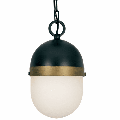 Crystorama Capsule 1 Light Outdoor Pendant - Matte Black - CAP-8505-MK-TG