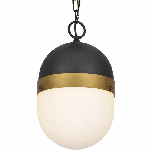 Crystorama Capsule 1 Light Outdoor Pendant - Matte Black - CAP-8507-MK-TG