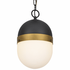 Crystorama Capsule 1 Light Outdoor Pendant - Matte Black - CAP-8507-MK-TG