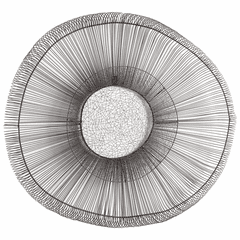 Cyan Medium Pardo Wall Decor - Graphite - 05642