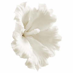 Cyan Medium Primrose Wall Decor - White - 10281