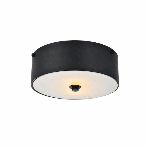 Elegant Hazen 2-LT 12" Flat Black Flush Mount - Flat Black, White - LD6024