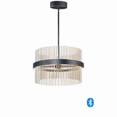 ET2 Chimes 24'' LED Pendant - Black / Satin Nickel / Satin Brass - E34205-BKSNSBR