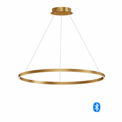 ET2 Groove 40" LED Pendant - Gold - E22728-GLD