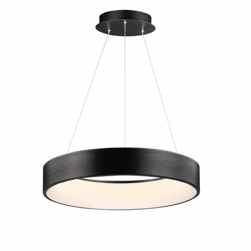 ET2 iQ 24" LED Pendant with Wiz - Brushed Black - E31258-BBK