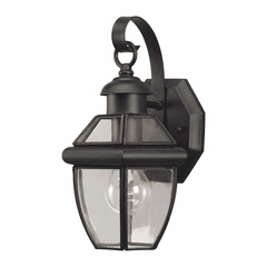 Forte 1-LT Brass Outdoor Lantern - Black - 1101-01-04 Forte 1-LT Brass Outdoor Lantern - Black - 1101-01-04