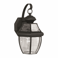 Forte 1-LT Brass Outdoor Lantern - Black - 1201-01-04