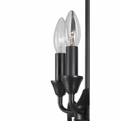 Forte Ione 11.75" 4-LT Foyer Pendant - Black - 7000-04-04