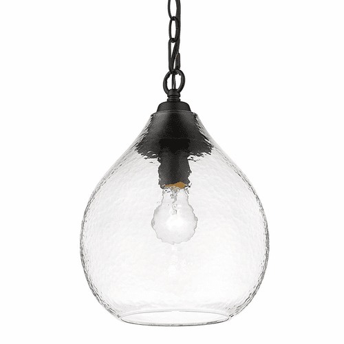 Golden Ariella 1-LT Small Pendant - Matte Black - 1094-S BLK-HCG