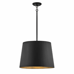 Hinkley Alder Medium Outdoor Pendant - Black - 11154BK