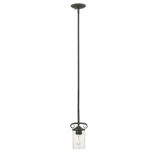 Hinkley Casa Pendant - Olde Black with Clear Seedy Glass - 4017OL-CL
