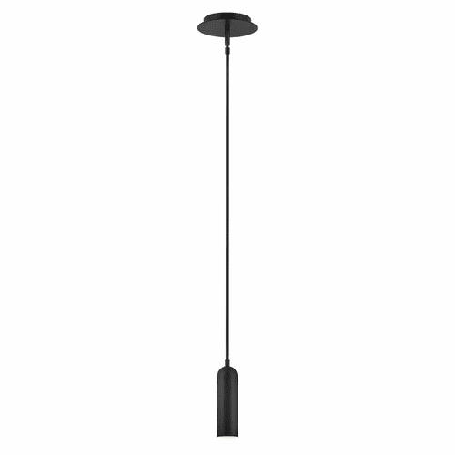 Hinkley Dax Extra Small LED Pendant - Black - 32377BK